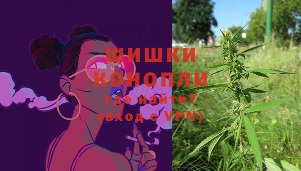 герыч Осинники