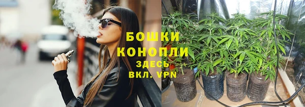 винт Няндома