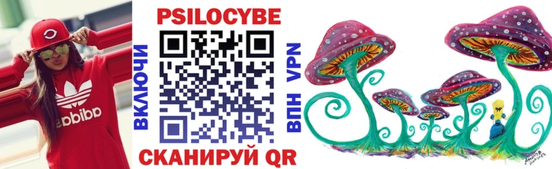 Псилоцибиновые грибы Cubensis  где можно купить   Нелидово 